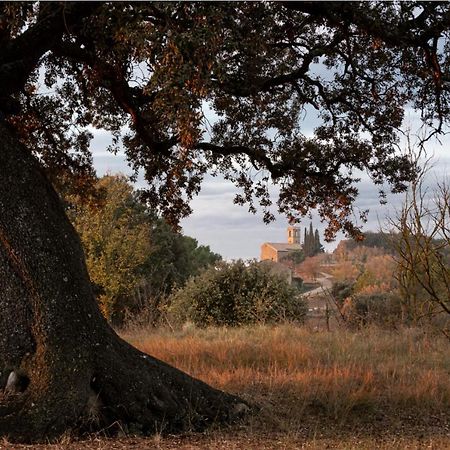 Appartamento Cal Moliner De Castelladral Esterno foto