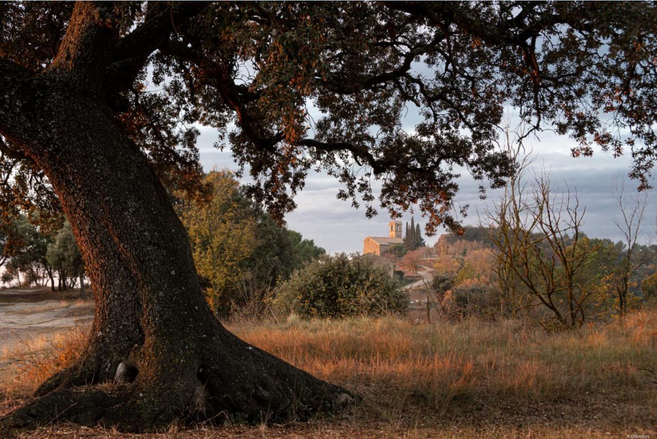 Appartamento Cal Moliner De Castelladral Esterno foto